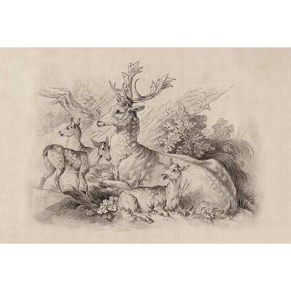 Digitaldruck-Tapete on the grass 1 livingwalls (DD122380)