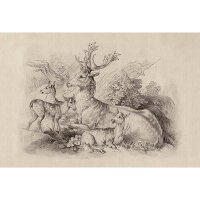 Digitaldruck-Tapete on the grass 1 livingwalls (DD122380)