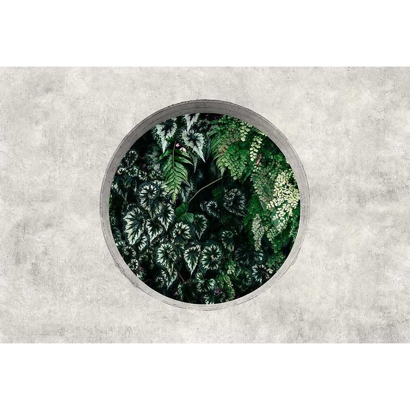 Digitaldruck-Tapete deep green 1 livingwalls (DD122092)