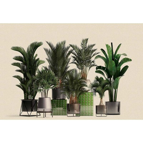Digitaldruck-Tapete plant shop 1 livingwalls (DD122084)
