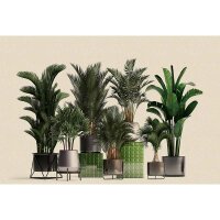 Digitaldruck-Tapete plant shop 1 livingwalls (DD122084)