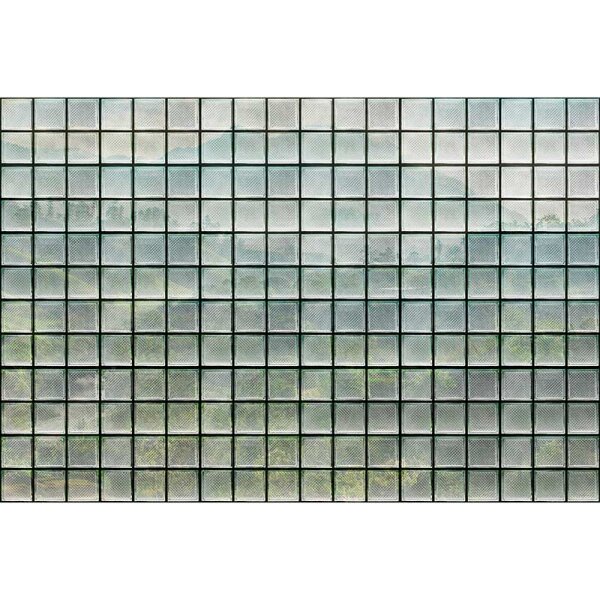 Digitaldruck-Tapete greenhouse 3 livingwalls (DD122080)