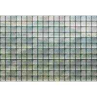 Digitaldruck-Tapete greenhouse 3 livingwalls (DD122080)