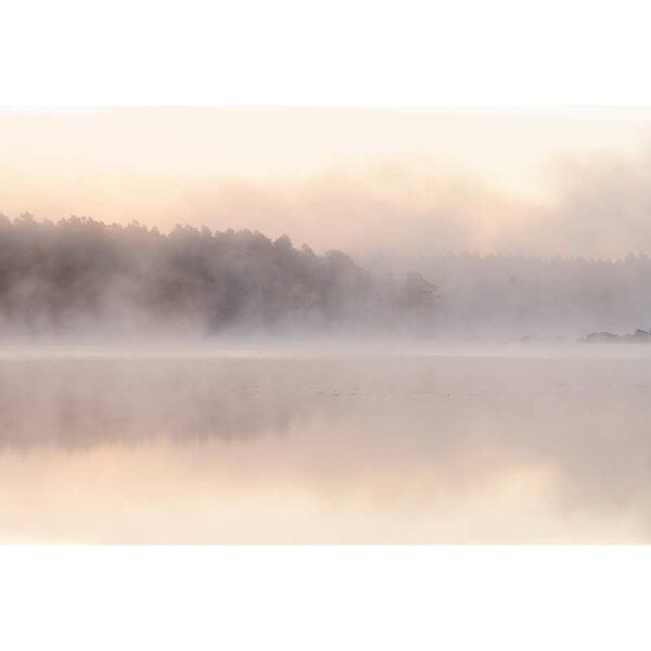 Digitaldruck-Tapete avalon 2 livingwalls (DD122068)