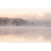 Digitaldruck-Tapete avalon 2 livingwalls (DD122068)