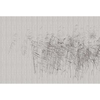 Digitaldruck-Tapete at the pond 2 livingwalls (DD122056)