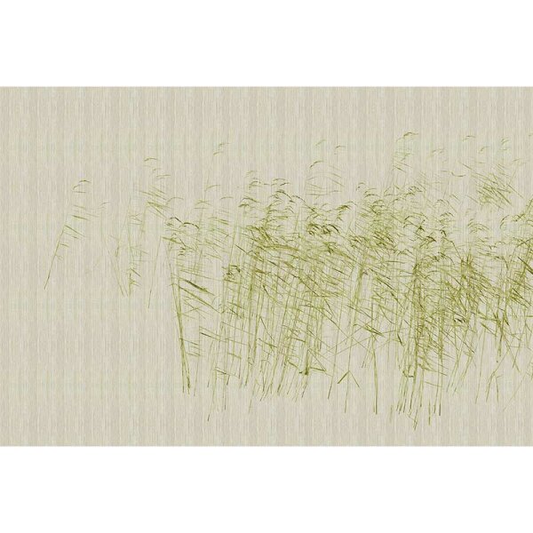 Digitaldruck-Tapete at the pond 1 livingwalls (DD122052)