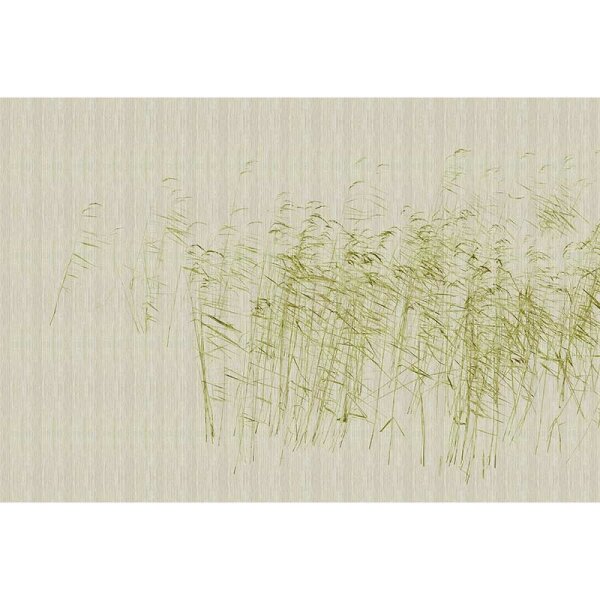 Digitaldruck-Tapete at the pond 1 livingwalls (DD122052)