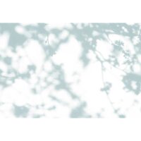 Digitaldruck-Tapete light room 2 livingwalls (DD122032)