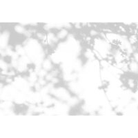 Digitaldruck-Tapete light room 1 livingwalls (DD122028)