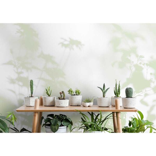 Digitaldruck-Tapete shadow room 3 livingwalls (DD122024)