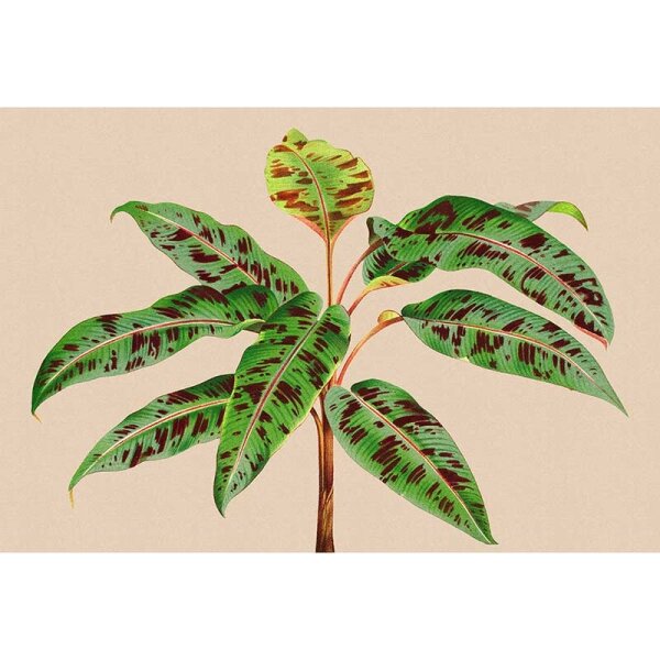 Digitaldruck-Tapete leaf garden 4 livingwalls (DD121960)