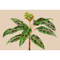 Digitaldruck-Tapete leaf garden 4 livingwalls (DD121960)