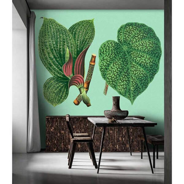 Digitaldruck-Tapete leaf garden 2 livingwalls (DD121952)