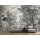 Digitaldruck-Tapete fancy forest 3 livingwalls (DD121884)