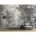 Digitaldruck-Tapete fancy forest 3 livingwalls (DD121884)