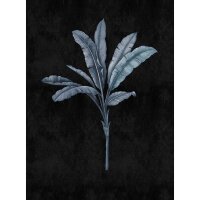 Digitaldruck-Tapete fiji 2 livingwalls (DD122504)