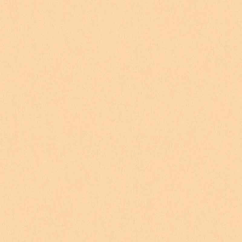 Tapete Orange, Terrakotta Architects Paper Vliestapete (377494)