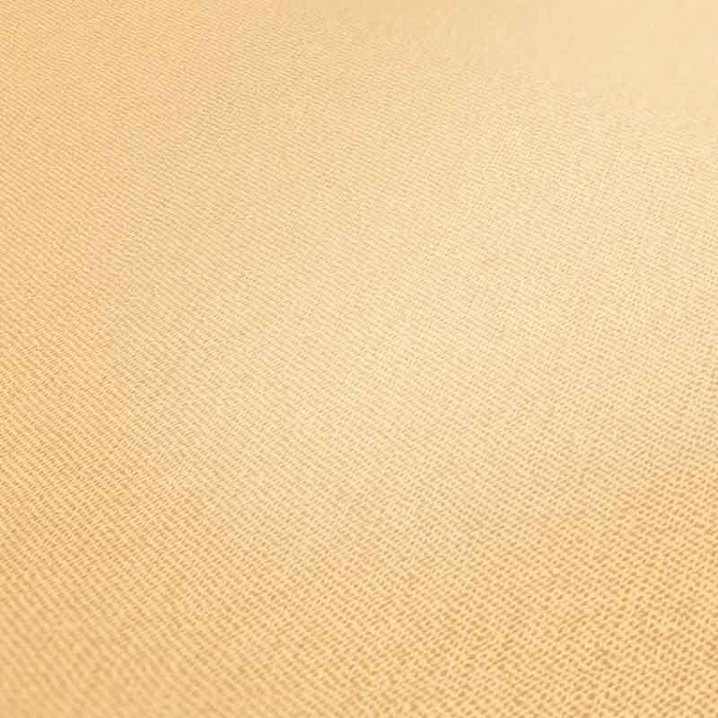 Tapete Orange, Terrakotta Architects Paper Vliestapete (377494)