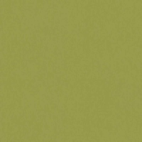 Tapete Grün Architects Paper Vliestapete (377493)