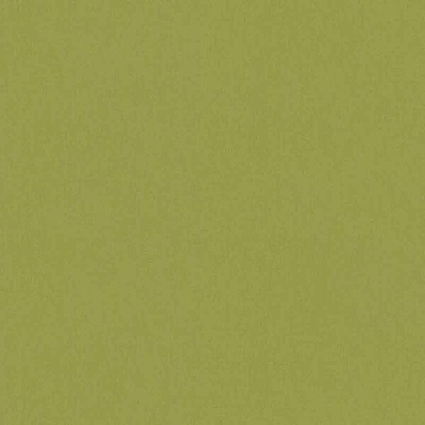 Tapete Grün Architects Paper Vliestapete (377493)