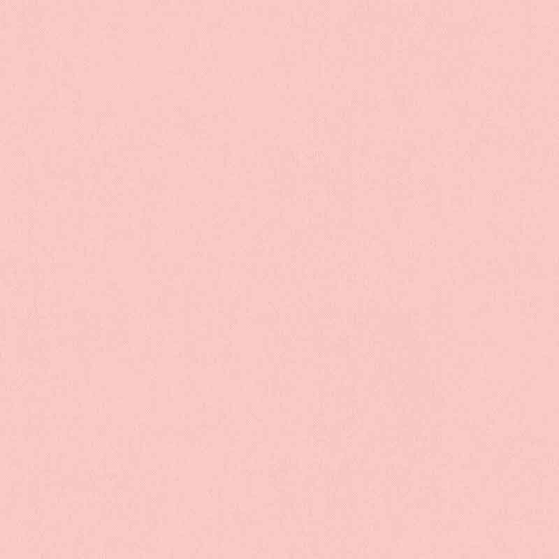 Tapete Rosa, Rose Architects Paper Vliestapete (377487)