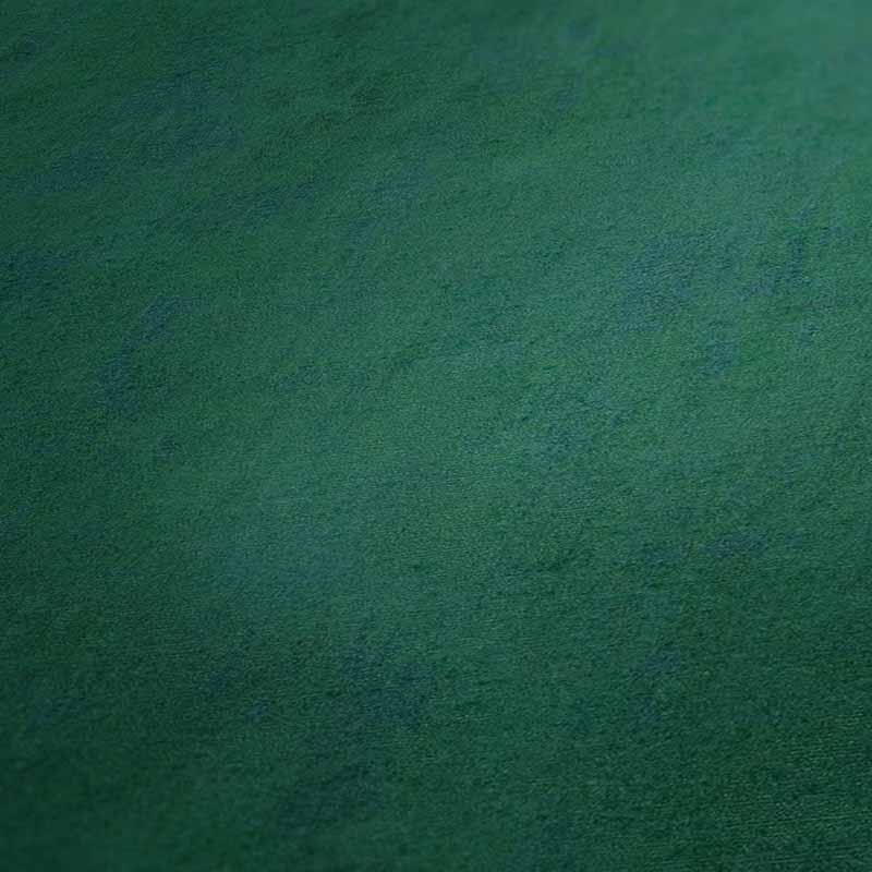 Tapete Grün AS-Creation Vliestapete (380249)