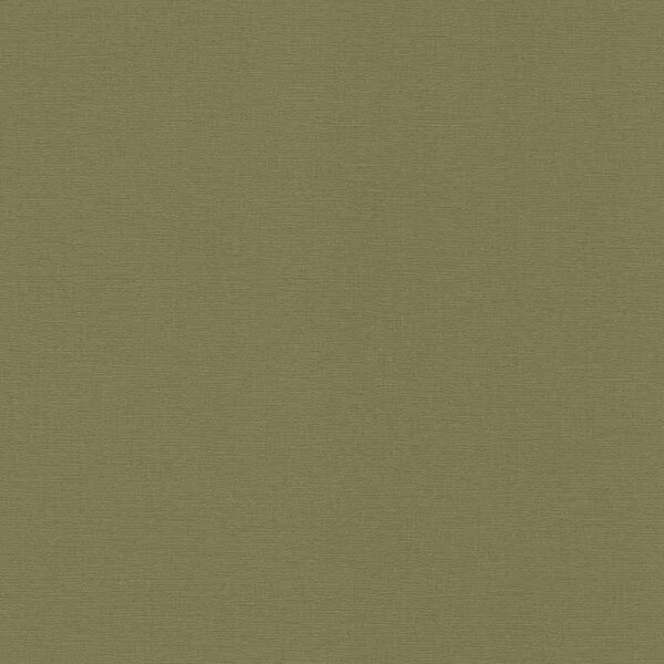 Tapete Grün Rasch Vliestapete (452068)