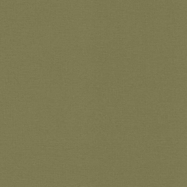 Tapete Grün Rasch Vliestapete (452068)