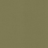 Tapete Gr&uuml;n Rasch Vliestapete (452068)