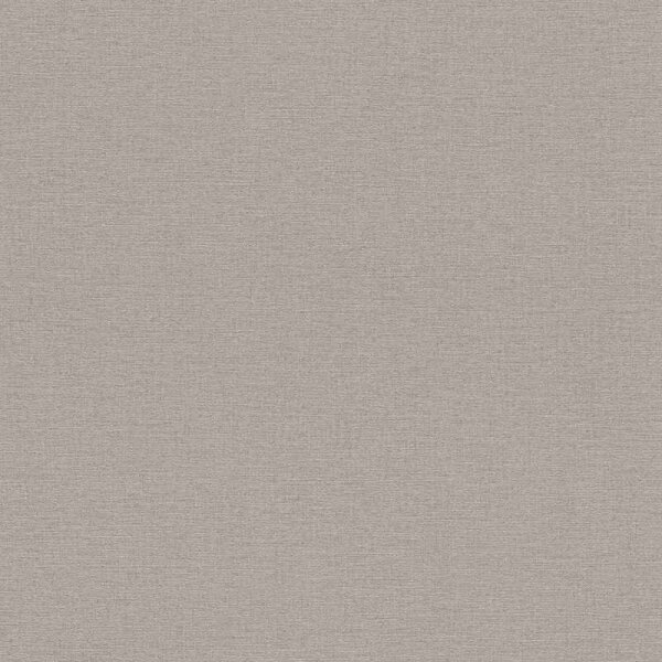 Tapete Braun Rasch Vliestapete (452037)