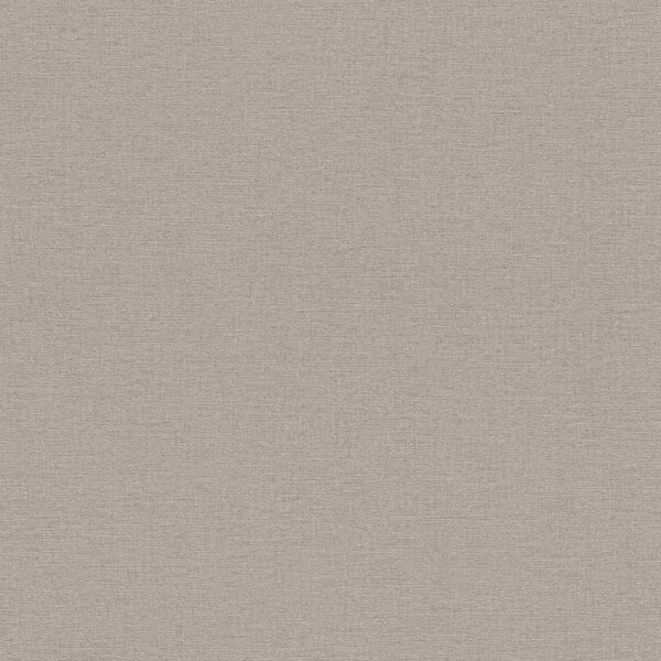 Tapete Braun Rasch Vliestapete (452037)