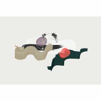 Digitaldruck-Tapete Wonder livingwalls (DD120005)