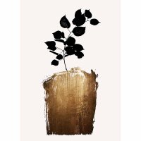 Digitaldruck-Tapete Golden Scabiosa livingwalls (DD119937)