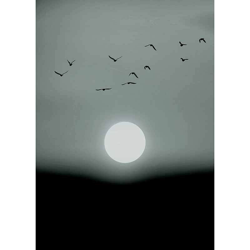 Digitaldruck-Tapete Winter Lights livingwalls (DD119929)