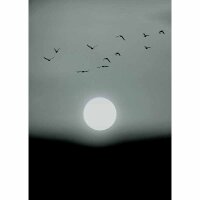 Digitaldruck-Tapete Winter Lights livingwalls (DD119929)