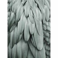 Digitaldruck-Tapete Feathers 2 livingwalls (DD119845)