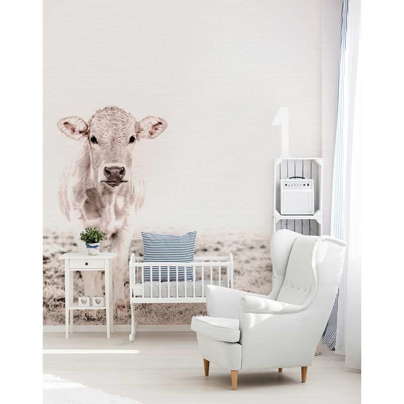 Digitaldruck-Tapete Highland Cattle 3 livingwalls (DD119833)