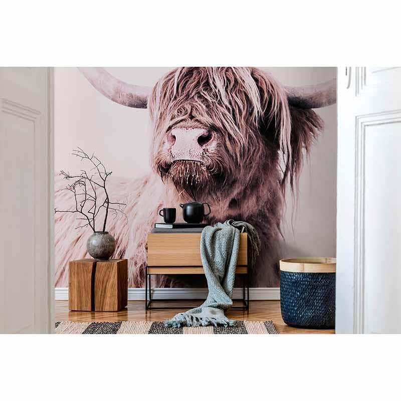 Digitaldruck-Tapete Highland Cattle 1 livingwalls (DD119821)