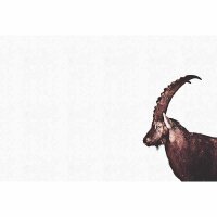 Digitaldruck-Tapete Capricorn Snow livingwalls (DD119813)