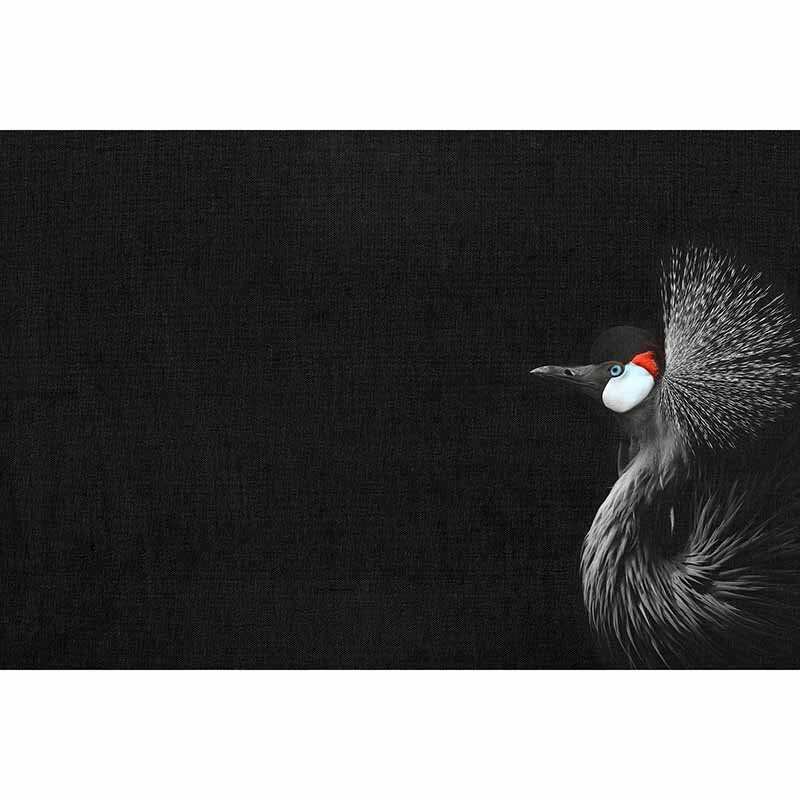 Digitaldruck-Tapete Crowned Crane Black livingwalls (DD119805)