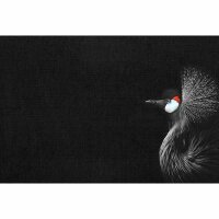 Digitaldruck-Tapete Crowned Crane Black livingwalls...