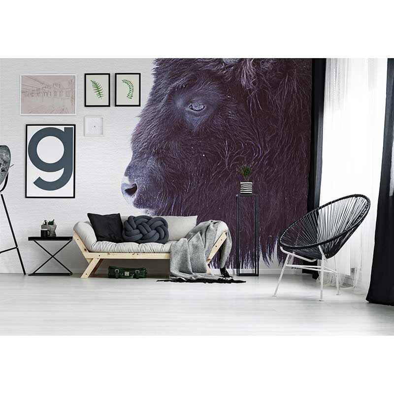 Digitaldruck-Tapete Black Buffalo livingwalls (DD119797)