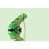 Digitaldruck-Tapete Monstera Leaf Water 2 livingwalls...