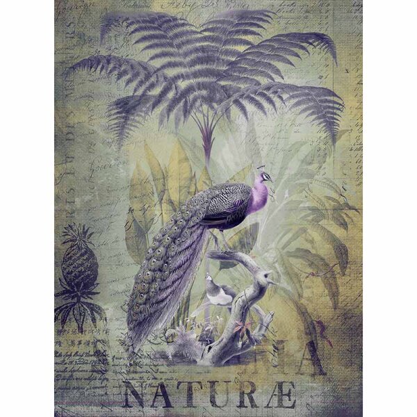 Digitaldruck-Tapete Peacock Jungle 2 livingwalls (DD119713)