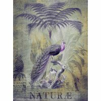 Digitaldruck-Tapete Peacock Jungle 2 livingwalls (DD119713)