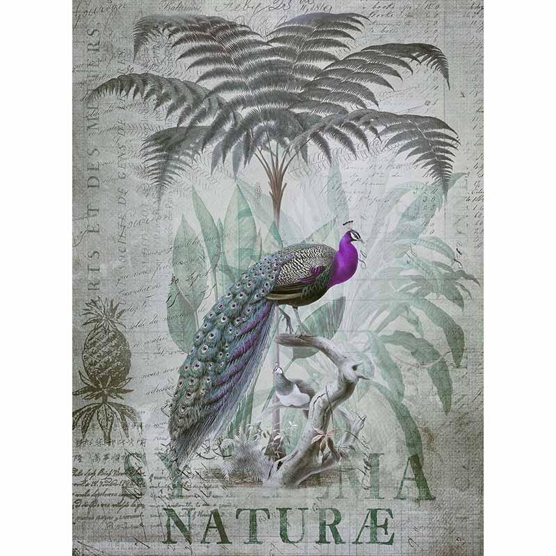 Digitaldruck-Tapete Peacock Jungle 1 livingwalls (DD119709)