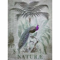 Digitaldruck-Tapete Peacock Jungle 1 livingwalls (DD119709)