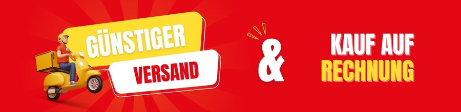 Günstiger Versand und Kauf auf Rechnung